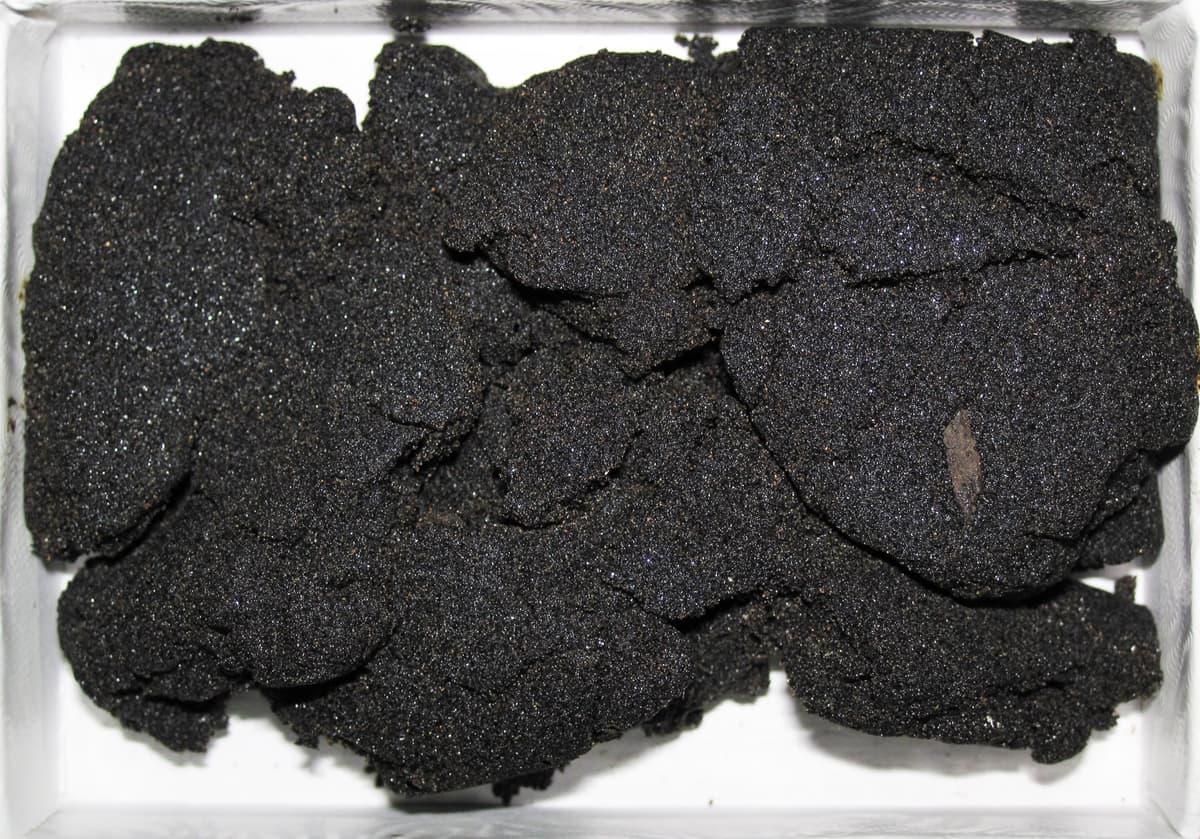 Exposed Athabasca bituminous tar sand deposit near Fort McMurray Alberta Canada