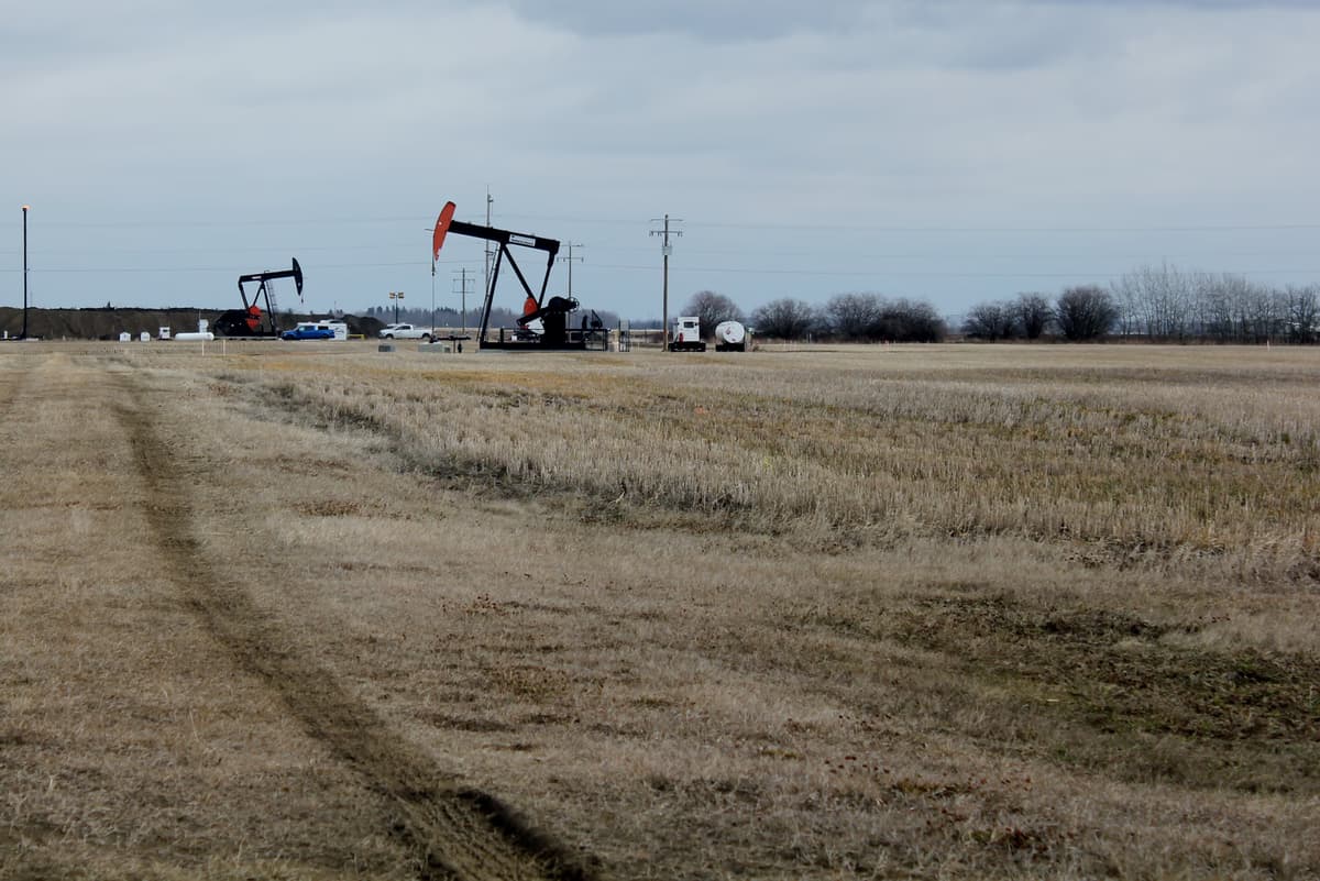 Multiple pumpjacks operating at the Leduc-Woodbend Oilfield in Alberta, Canada