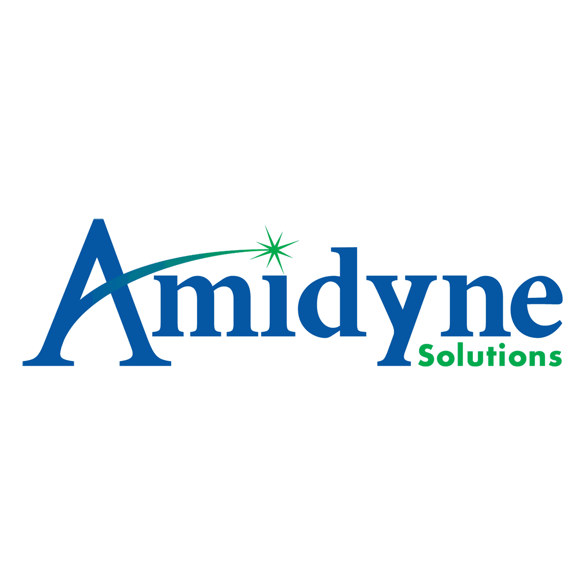 Amidyne Solutions