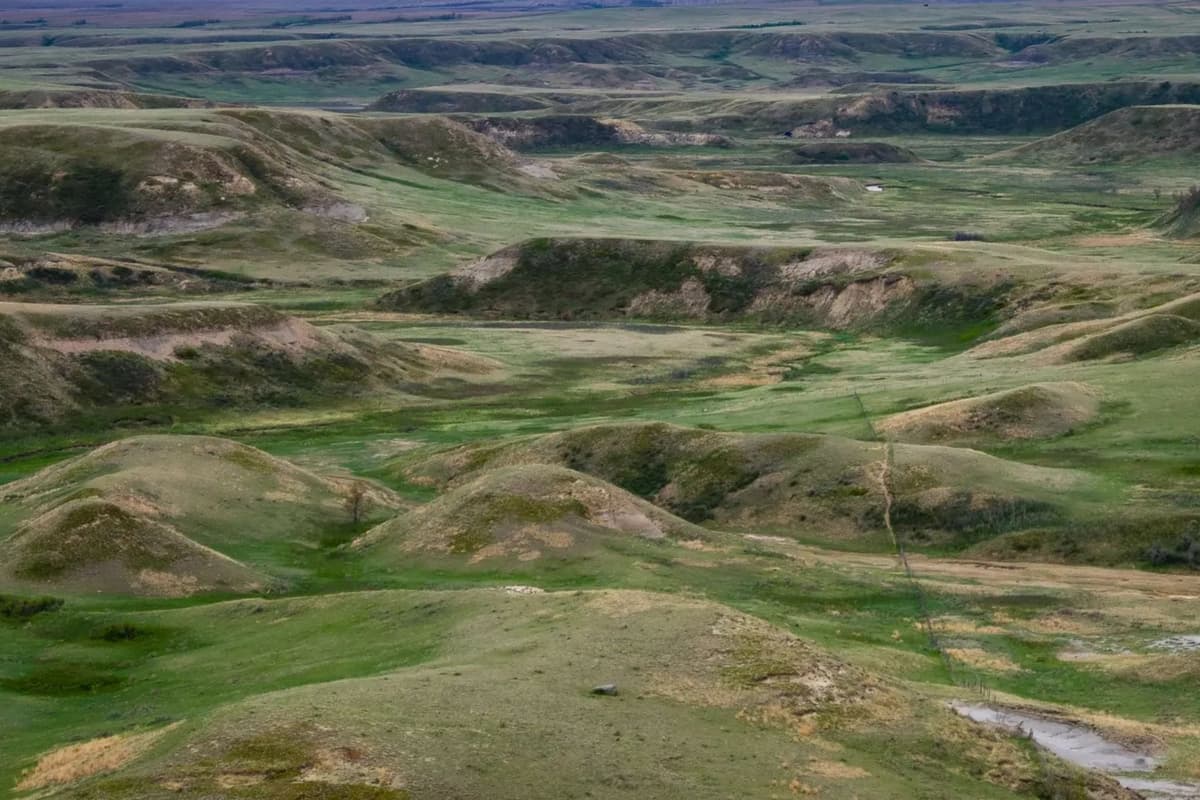 Big Muddy Heritage Consulting