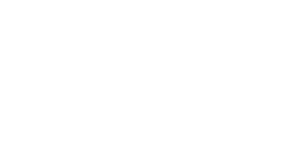 Bison Historical Services Ltd
