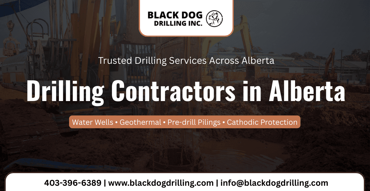Black Dog Drilling Inc.