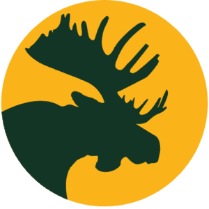 Bull Moose Capital Ltd