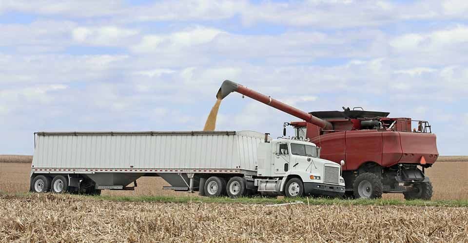 Camrose Diesel Injection