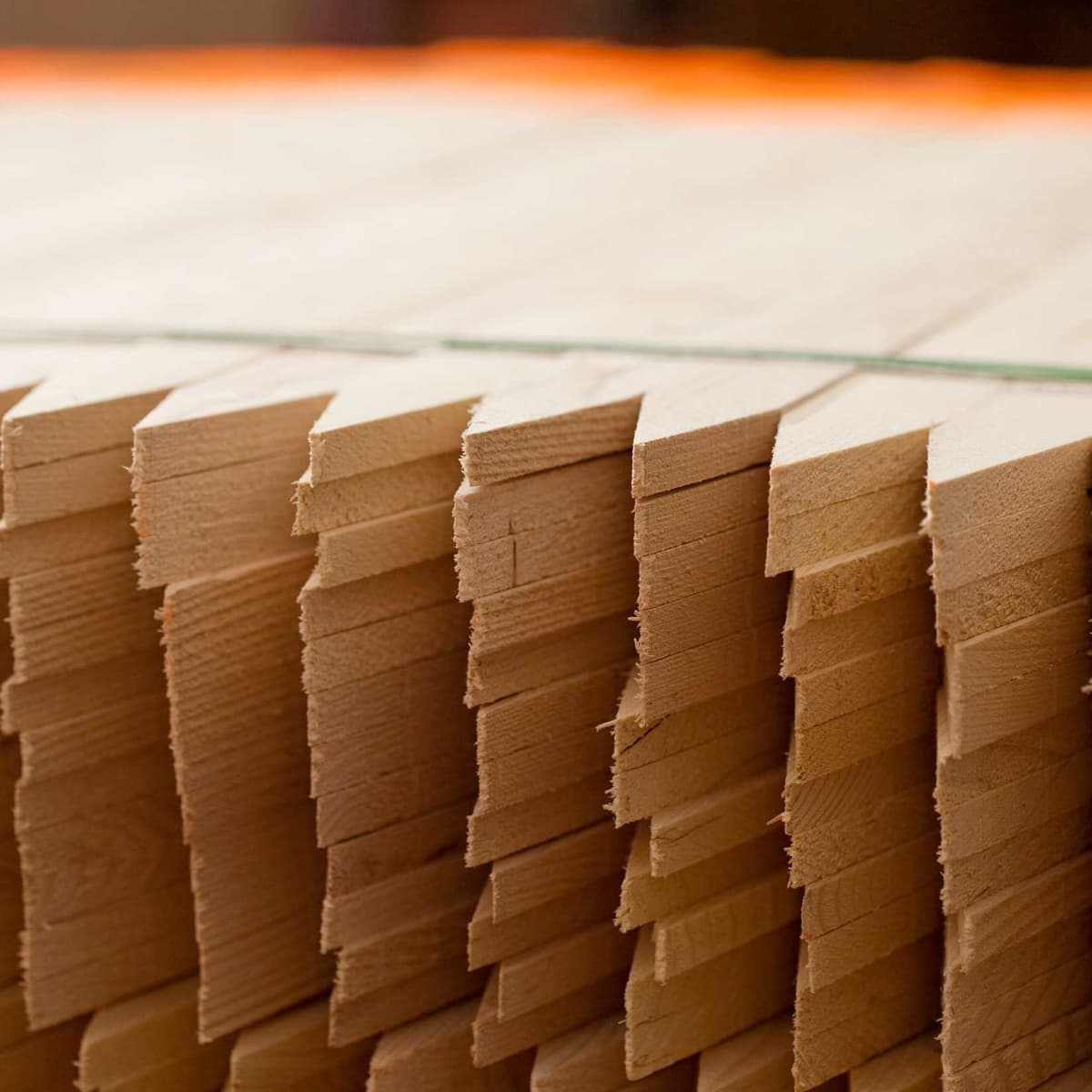 Cypress Stake & Lath