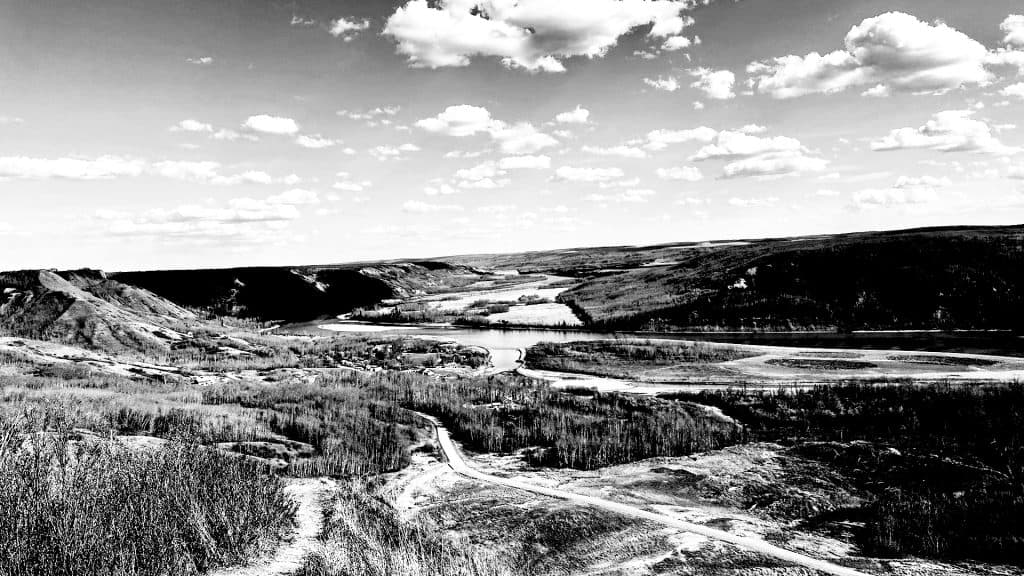 Employment Connections