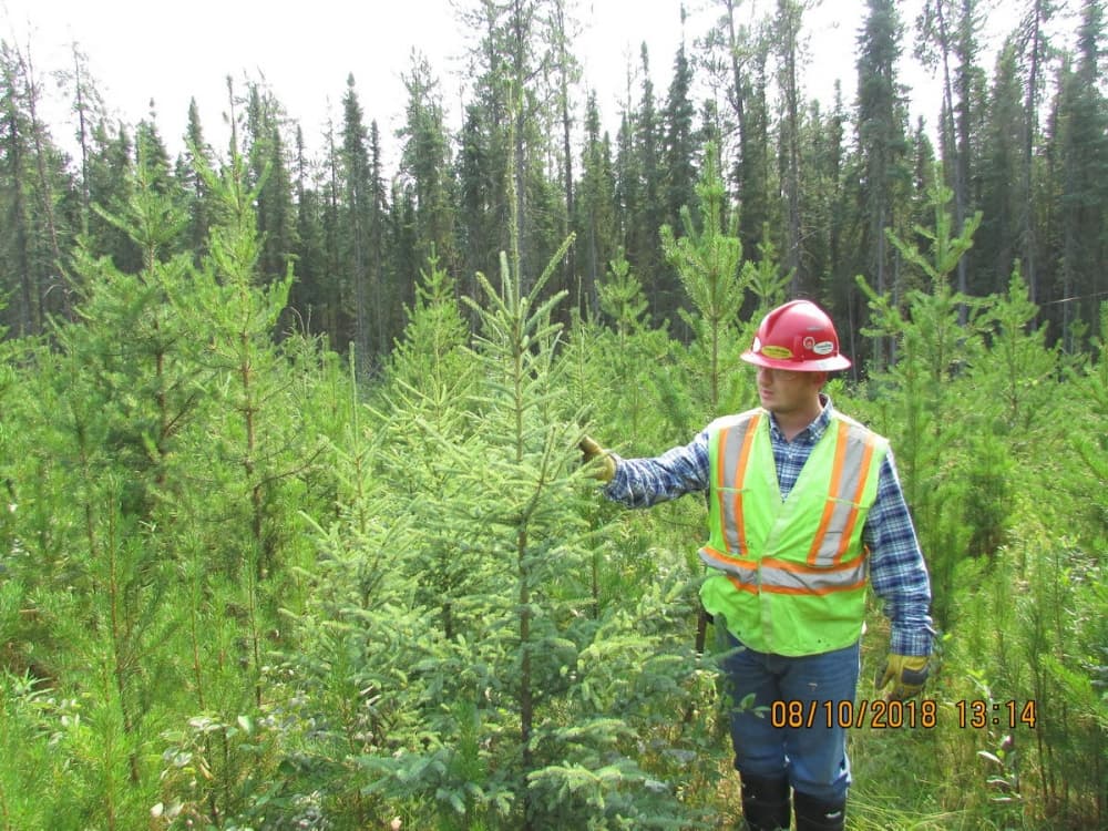 First Nation Reclamation Consulting Ltd