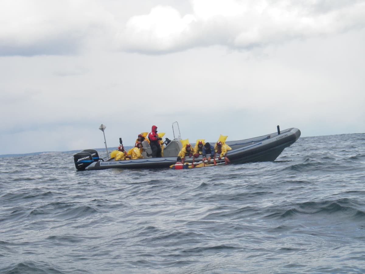 Fossil Steam Technologies