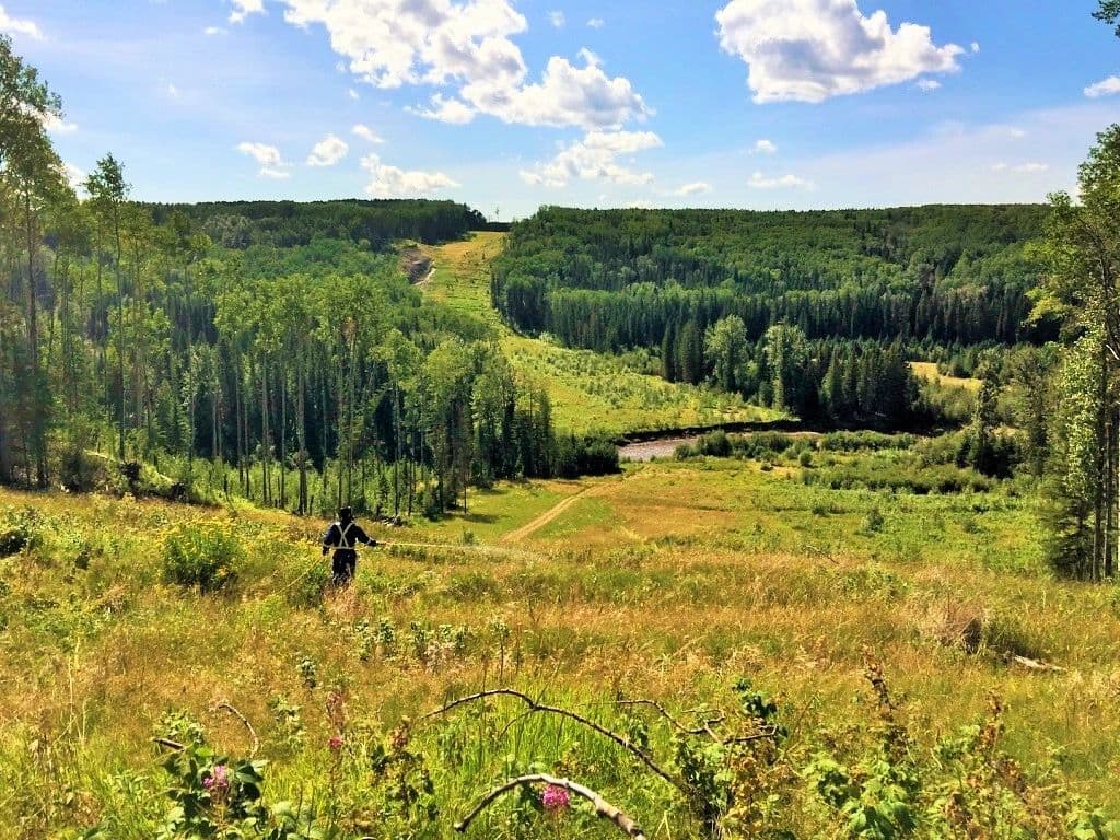 Integrated Vegetation Solutions Inc