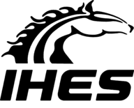 Iron Horse Energy Services