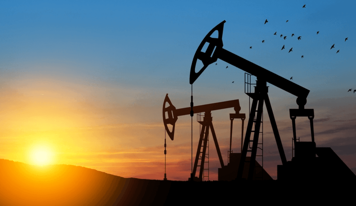 Magnum Inspection Ltd