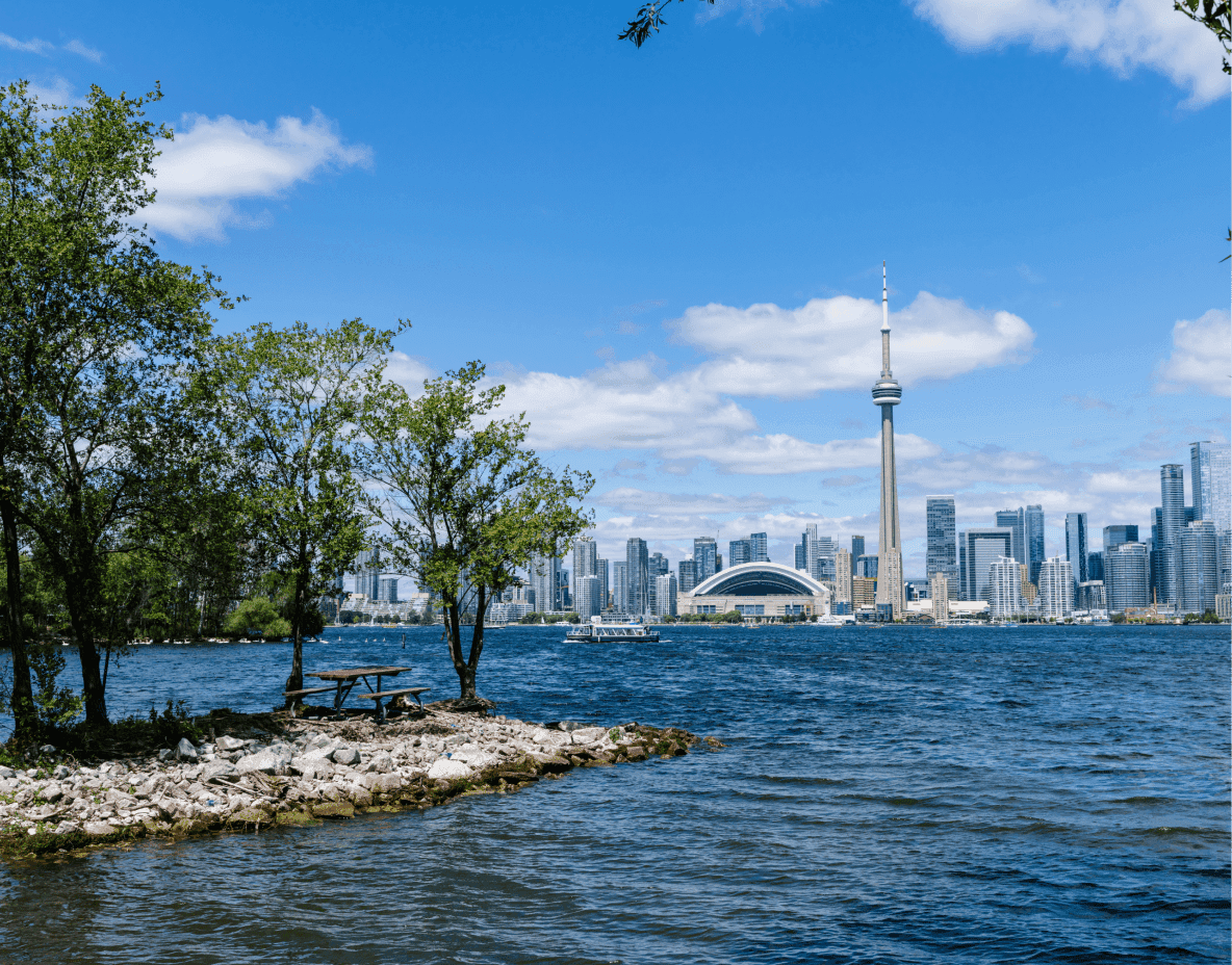 MAXX North America Services