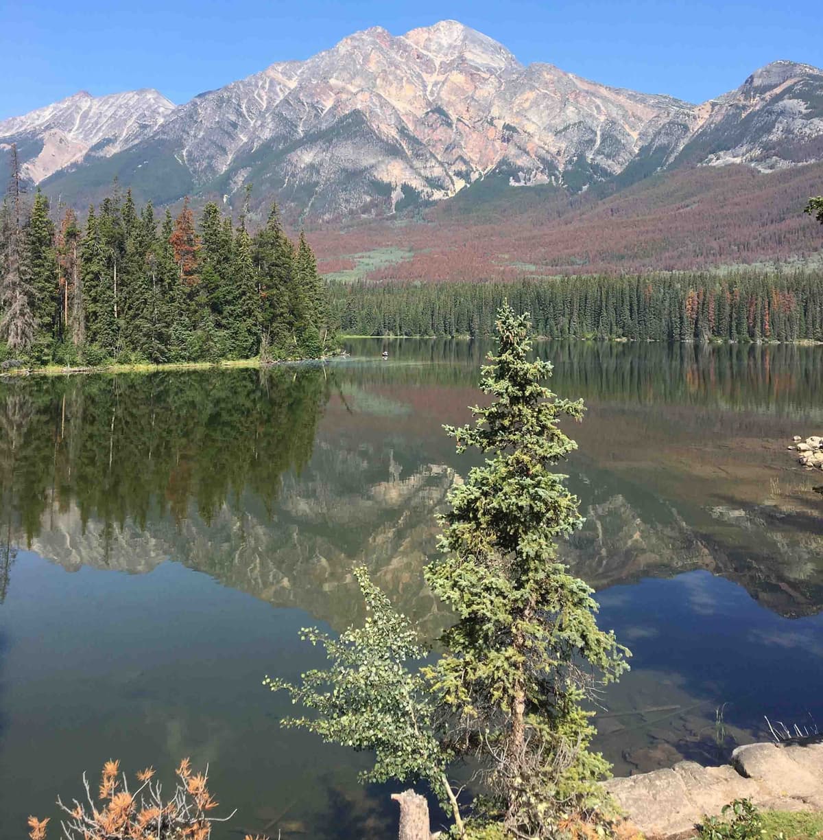 Mountview Business Park Ltd.