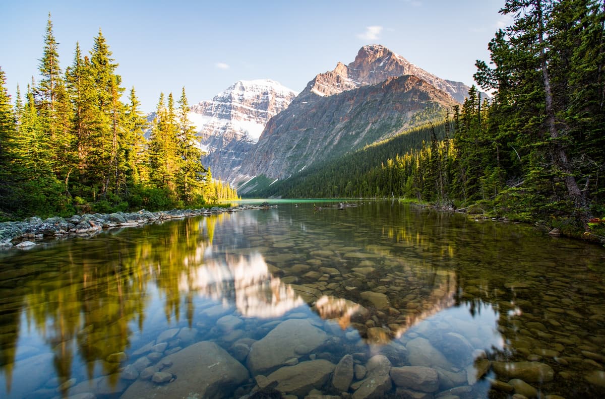 North Shore Environmental Consultants Inc