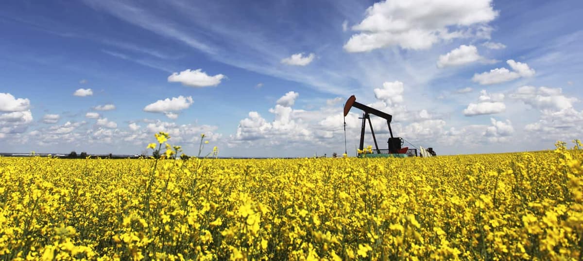 Red Deer - Apex Oilfield Services