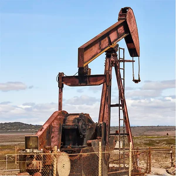 Paige Industries Ltd