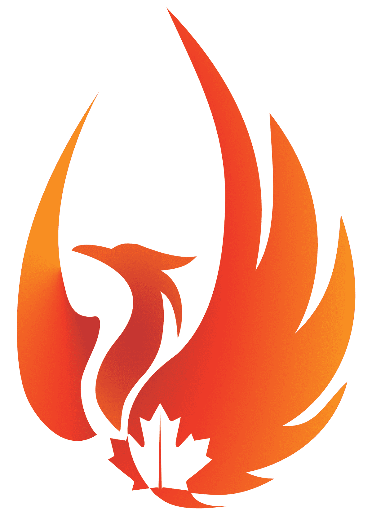 Phoenix Safety & Loss Control Inc