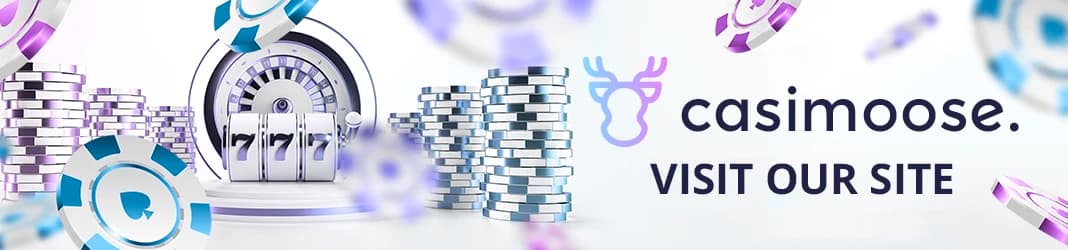 Ram Falls Industrial Inc.