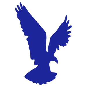 Rees NDT Inspection Services Ltd.