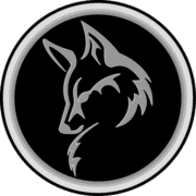 Silver Fox Completion Services Inc