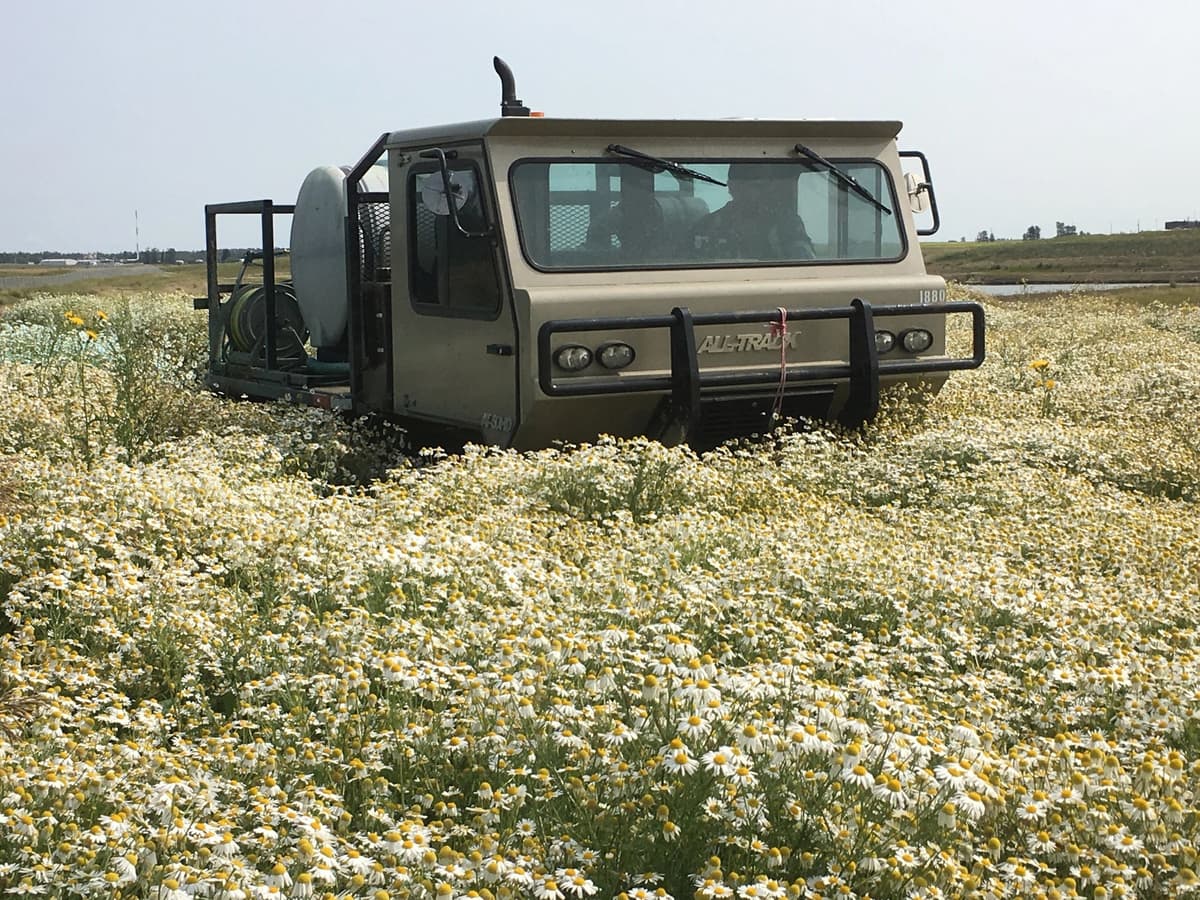 Target Vegetation Control Ltd