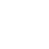 Wildcat Helicopters Inc