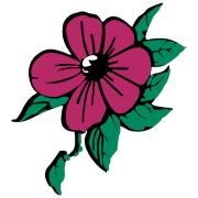 Wild Rows Pump & Compression Ltd