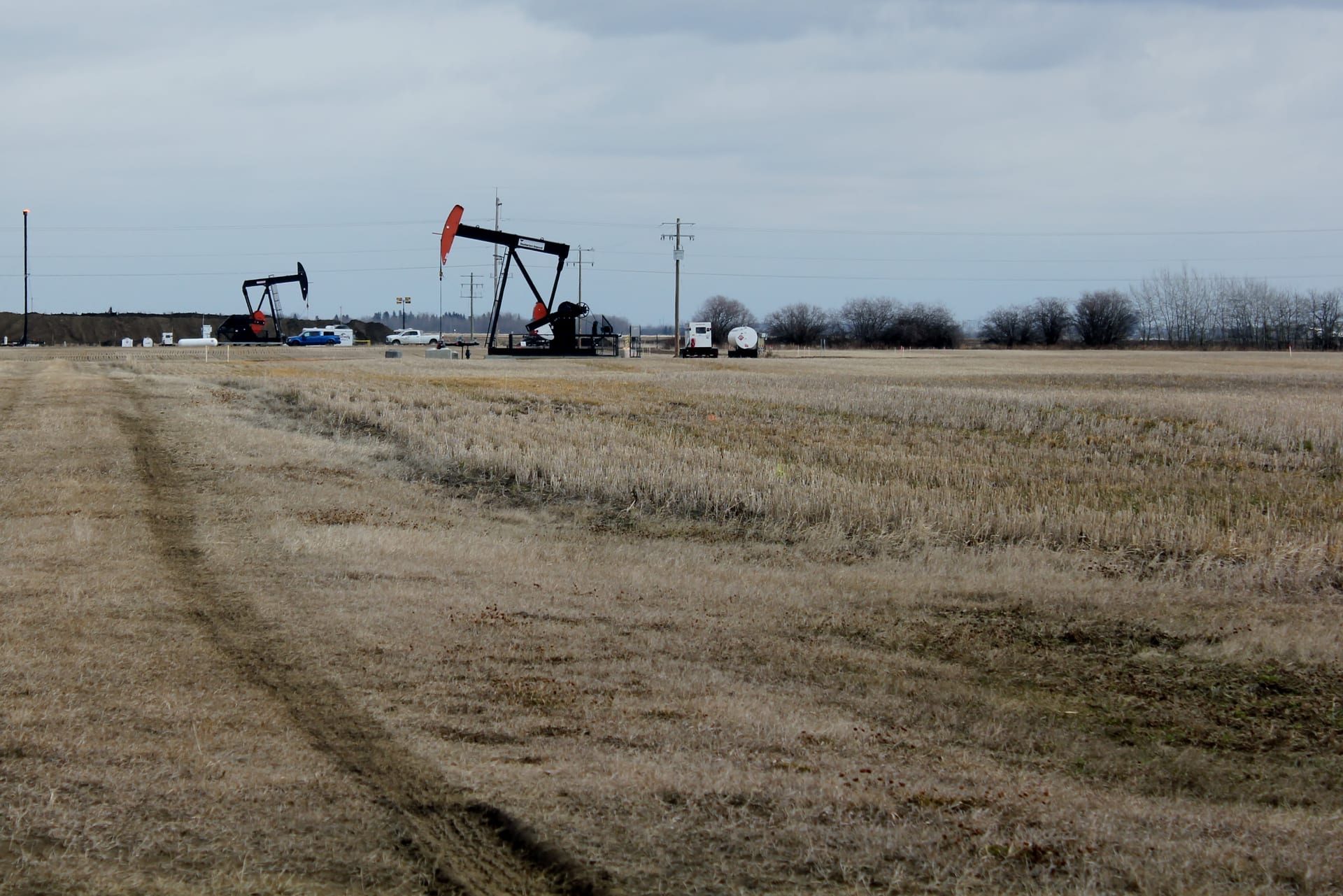 Multiple pumpjacks operating at the Leduc-Woodbend Oilfield in Alberta, Canada