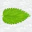 Chillborne Environmental Ltd