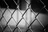 Lynx Brand Fence Products Alta Ltd.