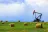 Pratum Resource Consultants Ltd